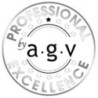 AGV GROUP