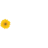 Brische